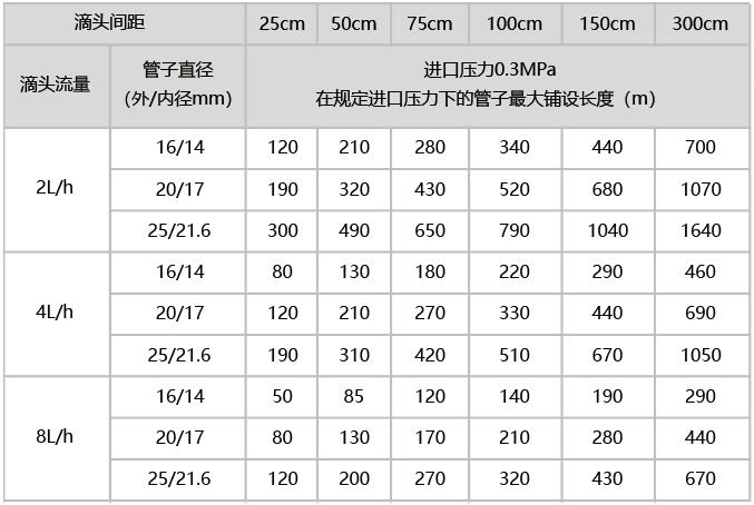 最佳真人賭場