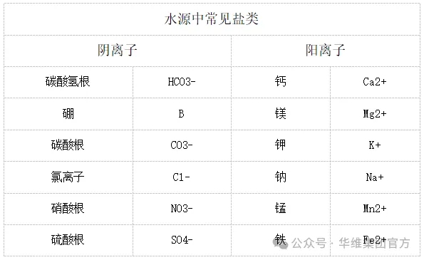 最佳真人賭場