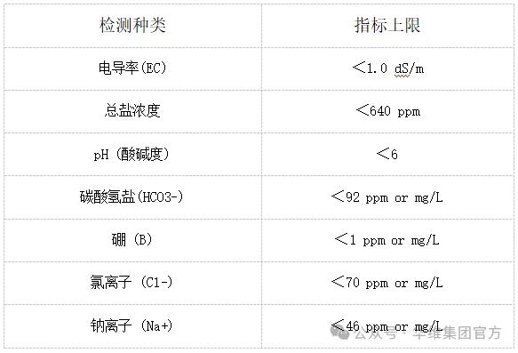 最佳真人賭場